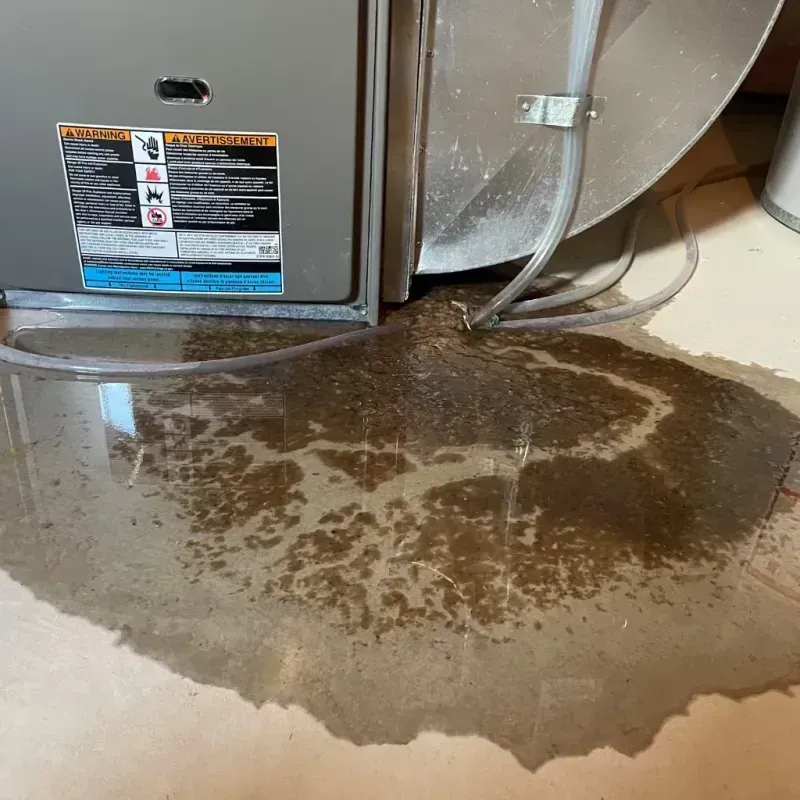 Appliance Leak Cleanup in Altamonte Springs, FL